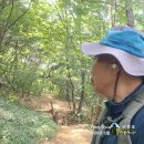무명초