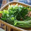 자연이네 이미지