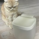 수지로3L | MA-AH 플링워터 급수기, 고양이정수급수기 추천 PETCA 3L 대형 사이즈 후기