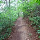 녹색마을길 이미지