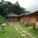 섬진다원 이미지