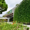 수원-이의-이의-10 이미지