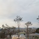 카와올라별빛카페 이미지