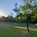 두루봉근린공원 | 가볼 만한 도심 속 공원산책/은구비역사공원 발굴체험장과 두루봉 근린공원