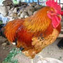 에코에코 협동조합 이미지