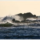 파도의 열창 이미지