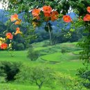 위천중학교 이미지