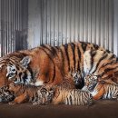 서울대공원 이미지