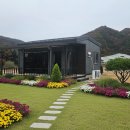 대지팜스 이미지