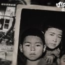 미야자키 하야오: 자연의 영혼 : 지브리 40주년 다큐 영화 리뷰 줄거리 평점