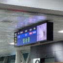 NR-3[평화로]-하-31 | 2025 늦은 마무리