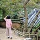 소쇄원 티스토리