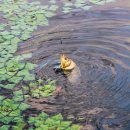 신월낚시터 이미지