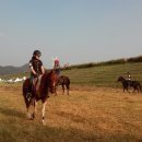 악양승마장 이미지