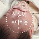 신생아 첫 한달 육아 비용 총 정리! 필수품 잘산템 vs 후회템