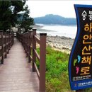 7/3~4일(1박2일)-"30만평의 신기루섬" 대이작도 그리고 승봉도 트레킹 신청 안내 이미지