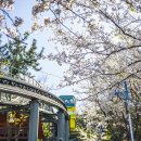 제황산모노레일 이미지