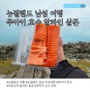 뉴질랜드 남섬 여행 마운트 쿡 알파인 살몬 푸카키 호수 연어 Lake Pukaki Mt Cook Alpine Salmon Shop