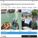 EG투어버스 E코스 | 후쿠오카 유후인 버스투어 근교 소도시 여행 코스 라쿠투어 내돈내산 추천 후기 ♥