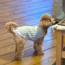 진상이네 술술포차 | 3月은 31日까지 있지요~🕒