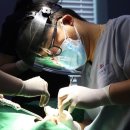 노형그랜드치과의원 이미지