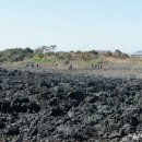 바당올레 이미지