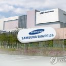 오로라분식