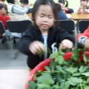 서대산약용자연휴양림 이미지