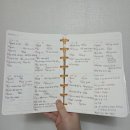 양파전 | 26년 1월 3주차 일주일 기록 | 위클리 다이어리