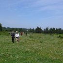 정자목장 이미지