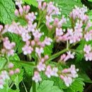 나루터로 15 (5) 이미지