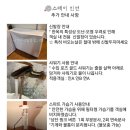 스테이 연 이미지