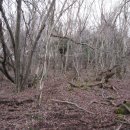 상대리[서] Daum카페