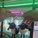 개이득뽑기방 이미지