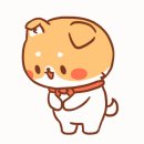 옥스포드숲어린이집 이미지