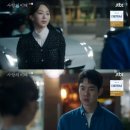 선보래 이미지