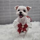 까끌레멍 이미지