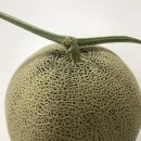 강변카랜드 이미지
