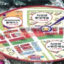 거성프라자 앞 이미지