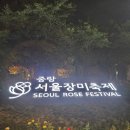 중화동-106 | 따릉이 타고 다녀온 중랑서울장미축제 야간데이트 후기 ❤️