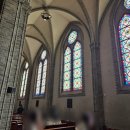 스테인드글라스 | 을지로 명동성당 스테인드글라스 관람 후기