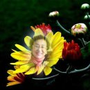 일어교실 이미지