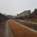 동막천자전거길 이미지
