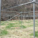 원주농장 이미지