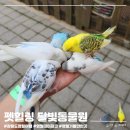 나뱅이길 이미지