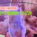 인스파이어 리조트 2025 새로운 미디어아트쇼+ 오로라 주차장 솔직 이용후기 / 주차요금 정보