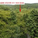 신선동-4 이미지