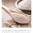 경성제약장박사 - 유성구 도룡동 | 경성제약장박사