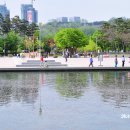 [서울/마포] 자연과 사람이 어울리는 공간, 평화의 공원 이미지