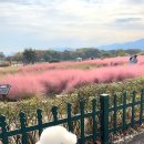 페어리몽드 이미지